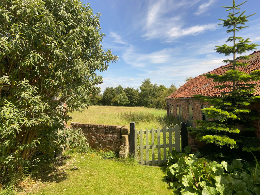 meadow