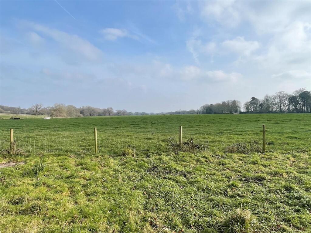 Field View 3.JPG