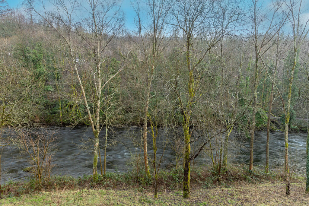 View from the Bal...