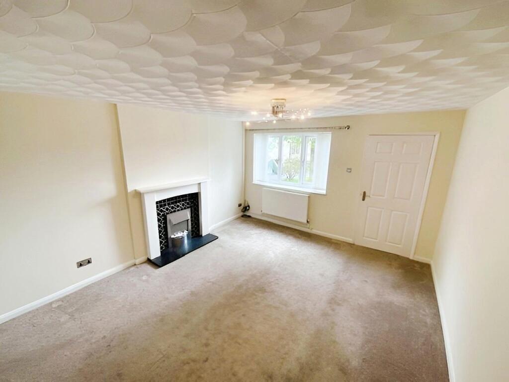 editedimage-6e60d90e-bb6c-4952-aebe-76a47a52112e 2