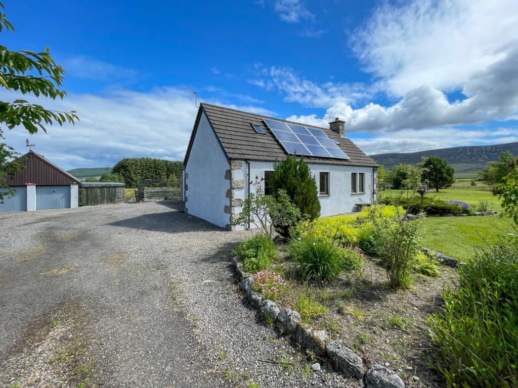 Driveway &amp; Parking
