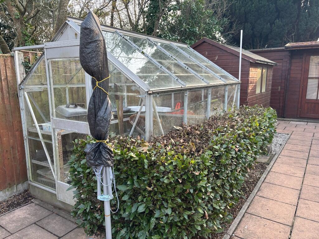 Greenhouse