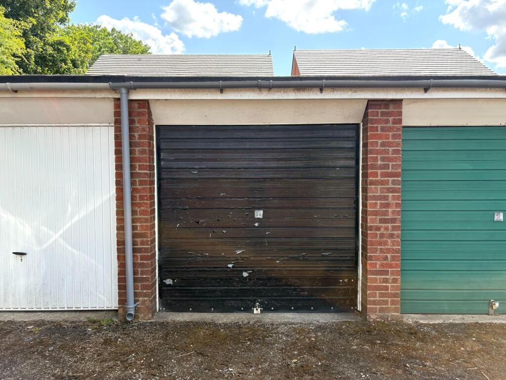 IMG_6767.jpg