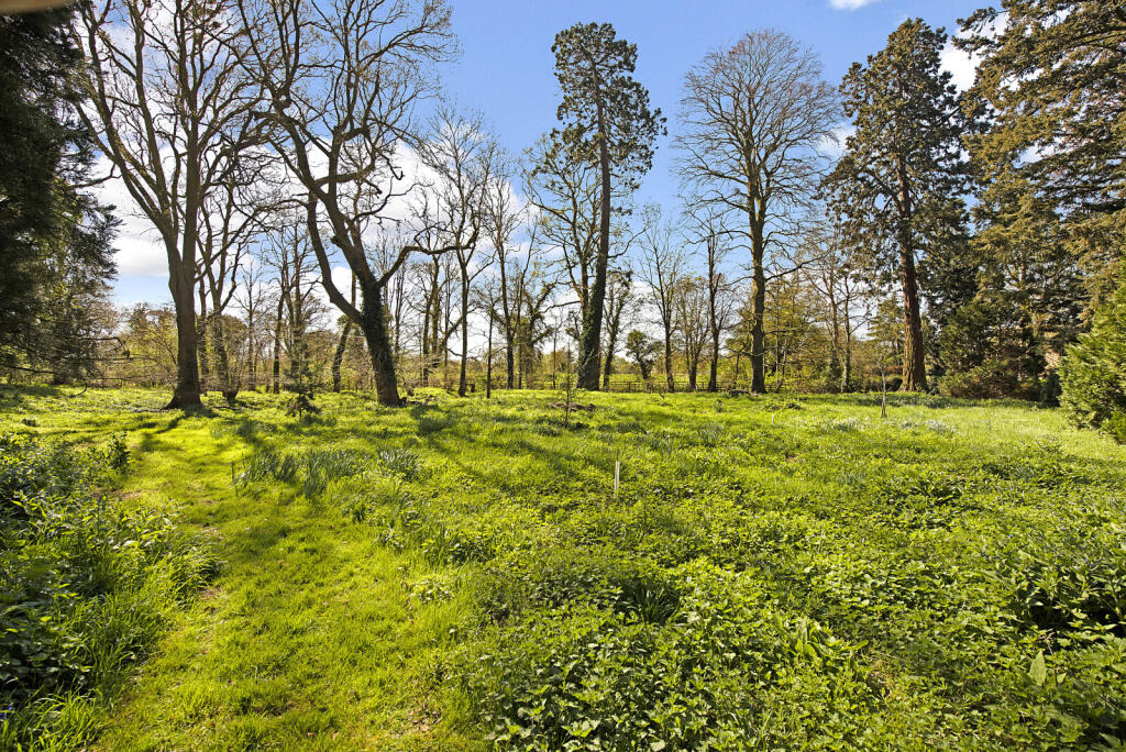 Grounds