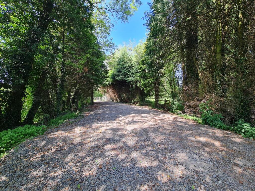 Driveway.jpg