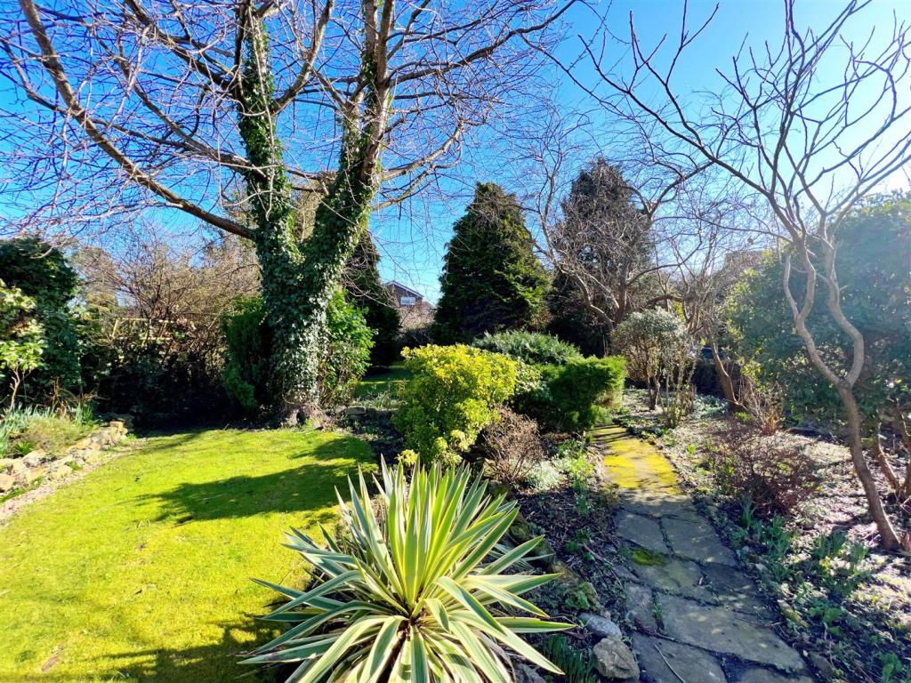 Garden 6.jpg