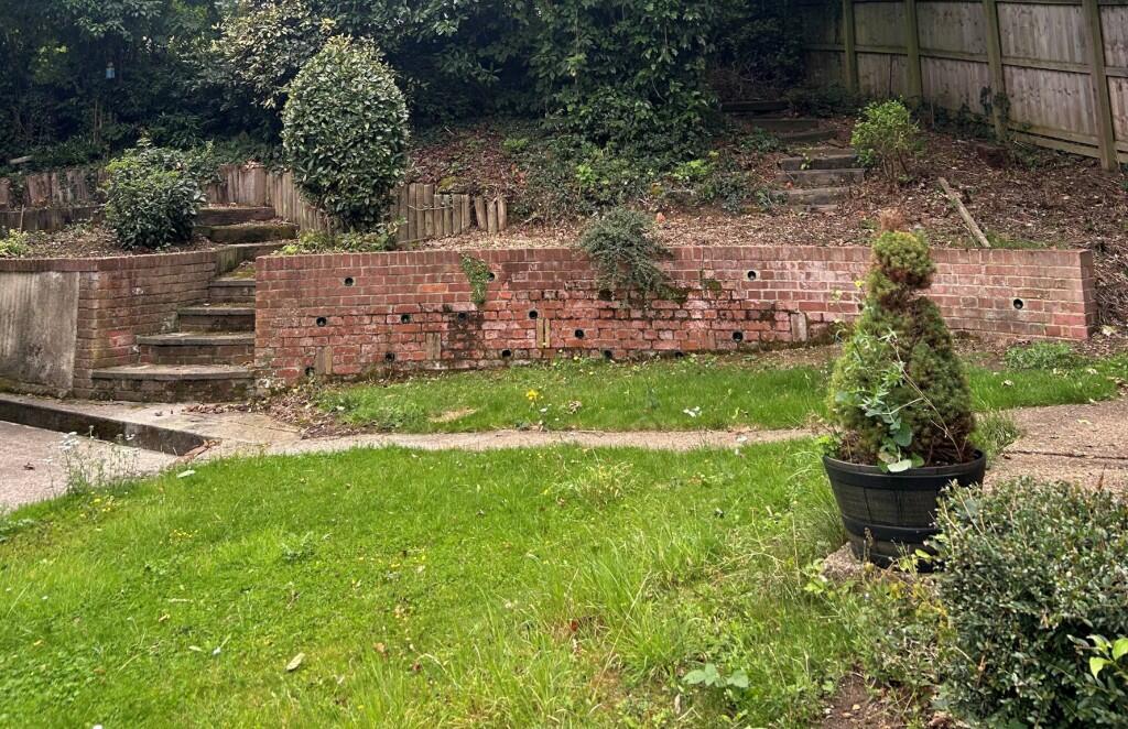 Back Garden