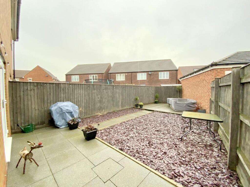 resized_IMG_6441..jpg