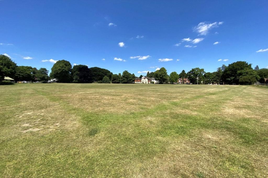 Nearby Cricket Green