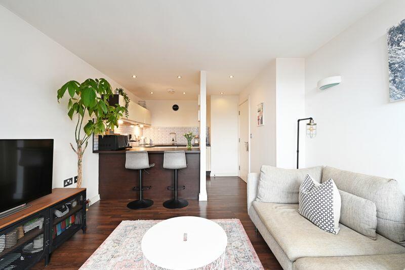 Living Area / Kitchen 