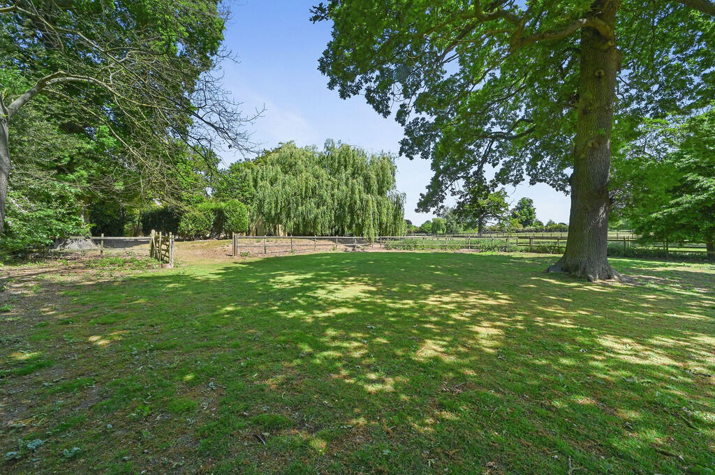 PT-DB(WP)-TheGran...