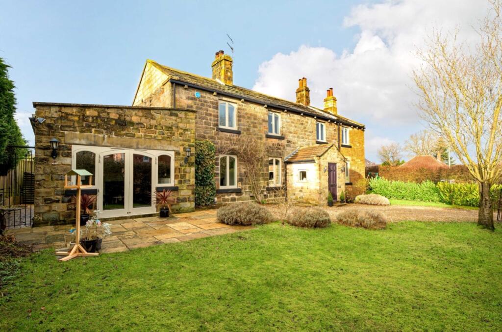 6597f0cc7bea0-l-1070788 (3)