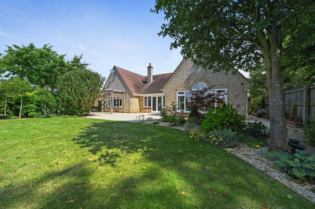 PT-DB(WP)-Brindle...