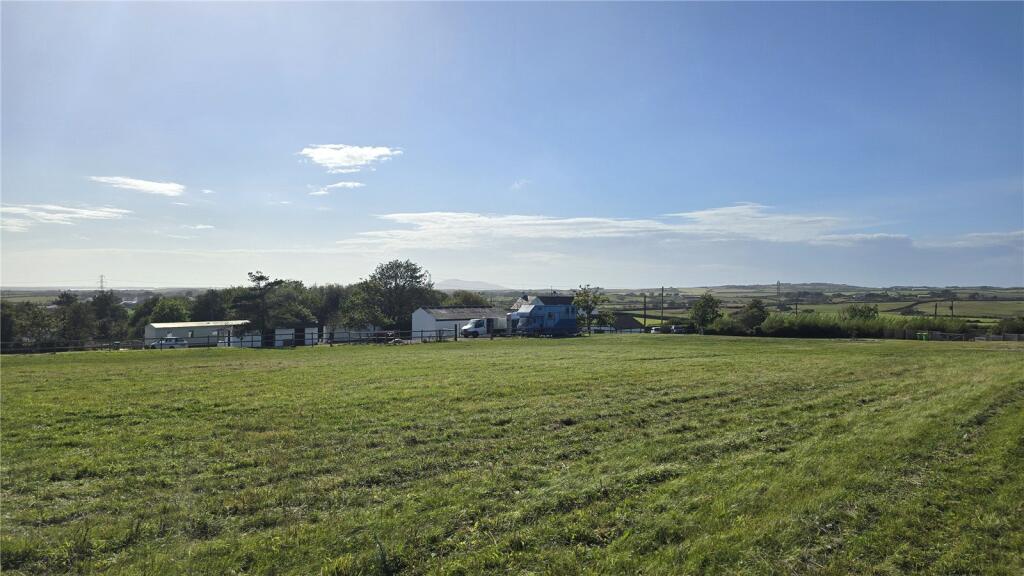 Field