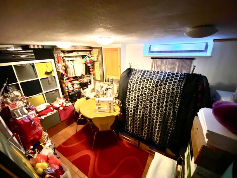 Craft/Hobby room