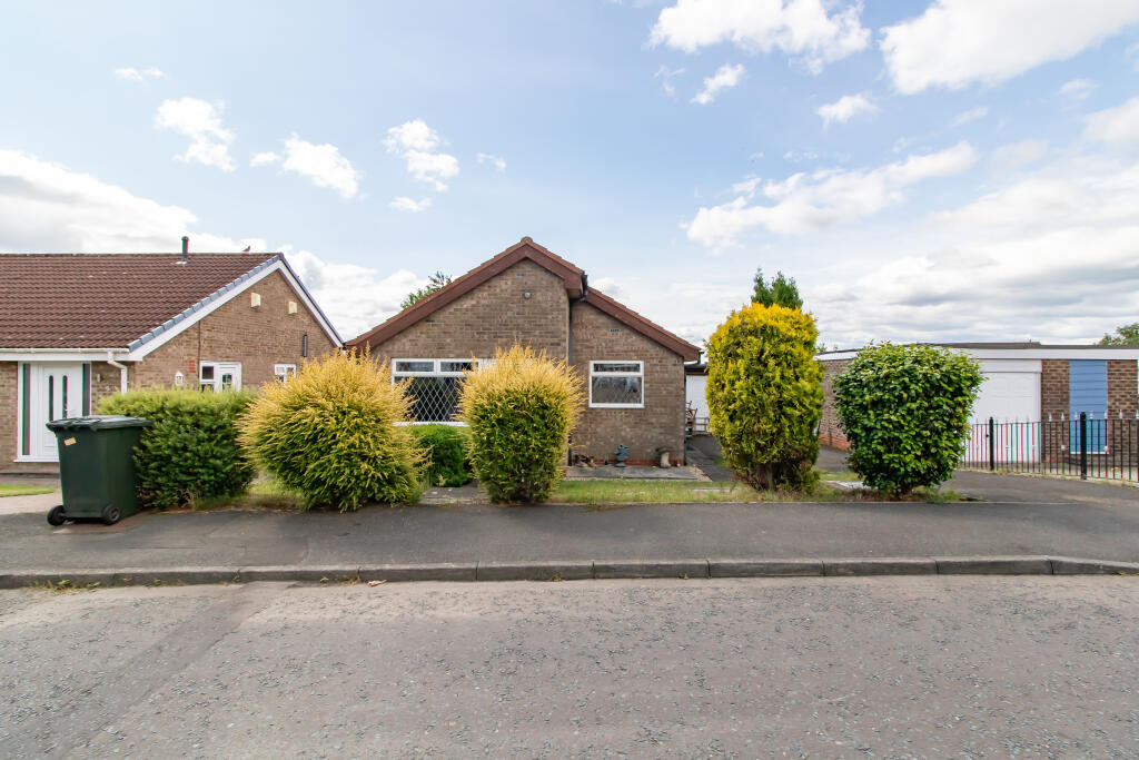 IMG 7800 T202507041441.jpg