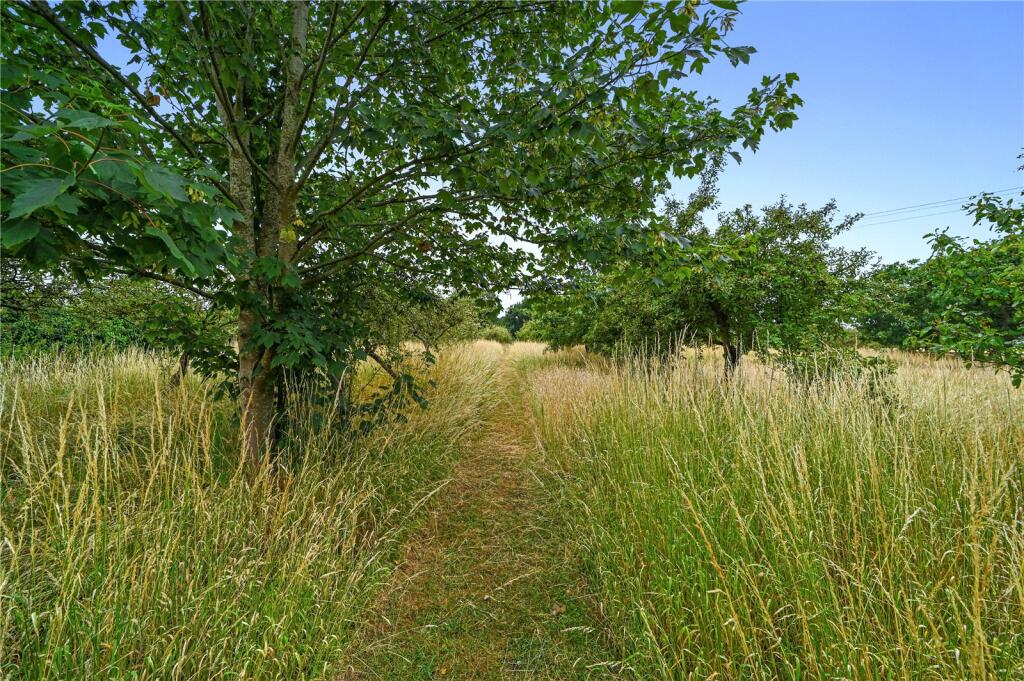 Grounds