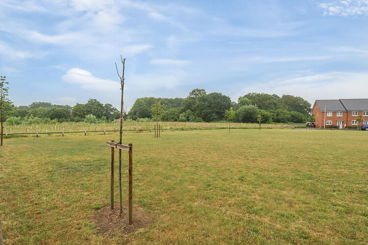 1304349 4 683eb573cdac5