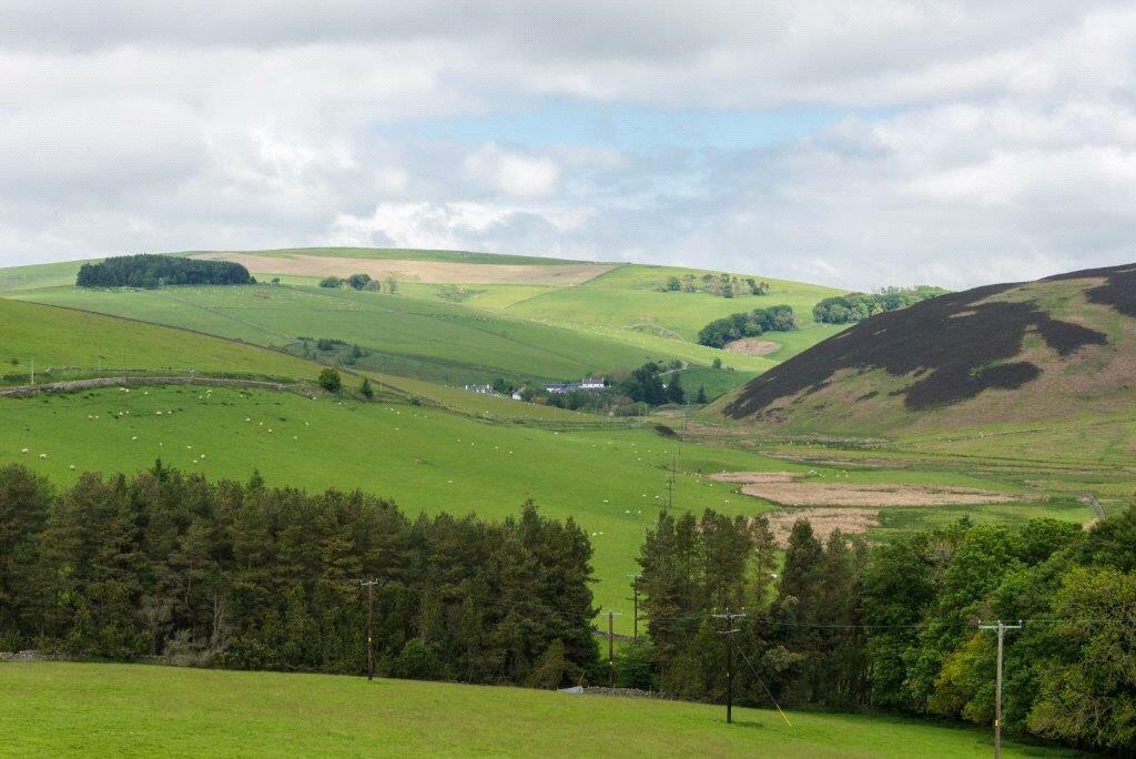Rolling Countryside