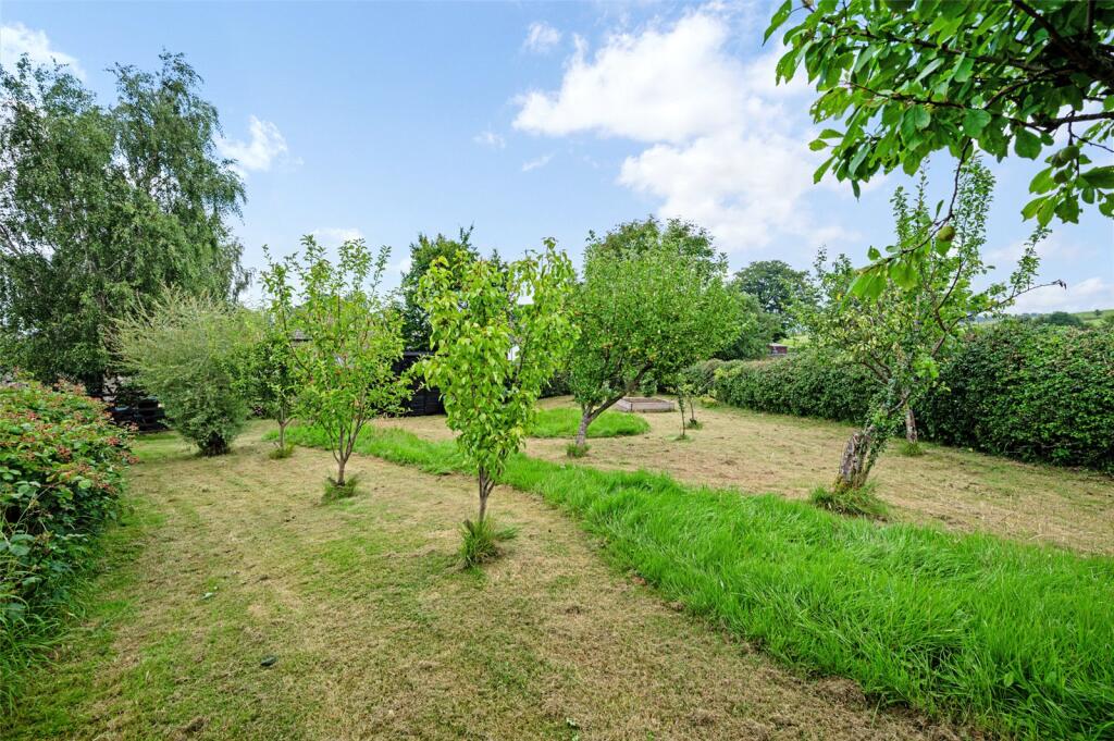 Seperate Orchard