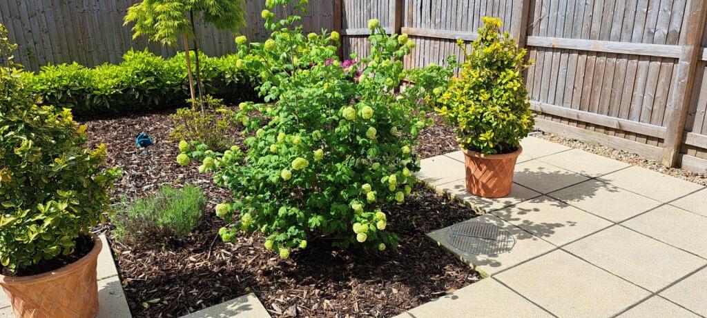 Herbaceous Garden