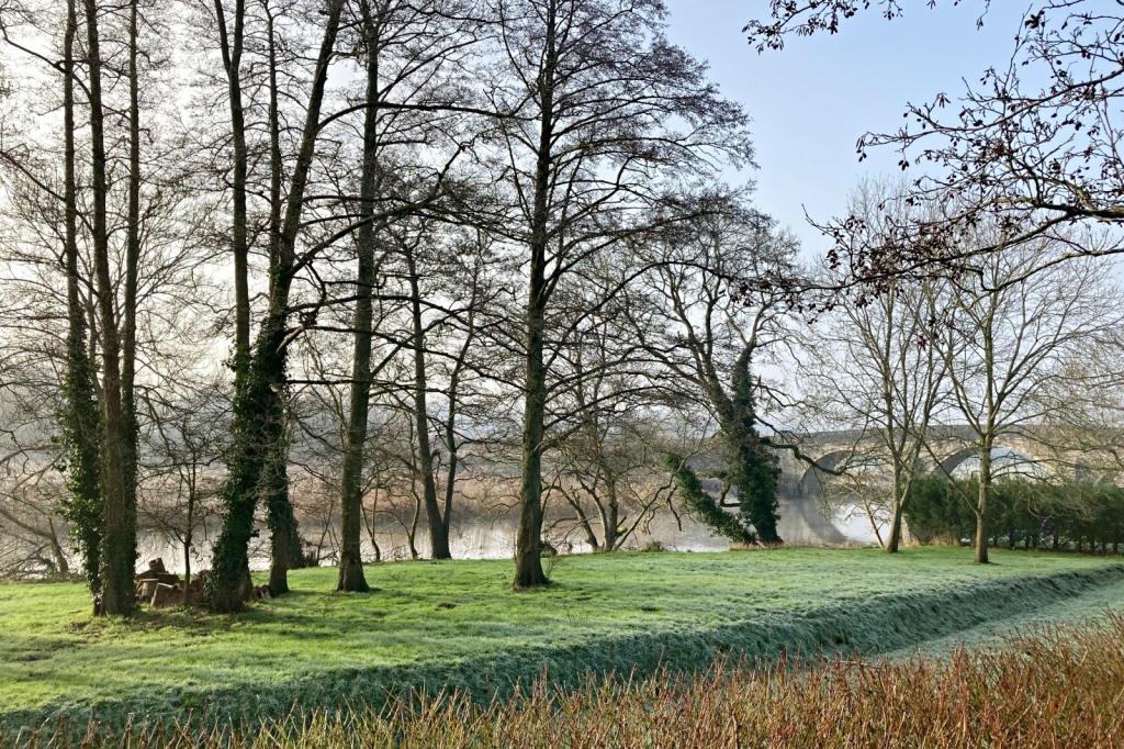 Riverside view