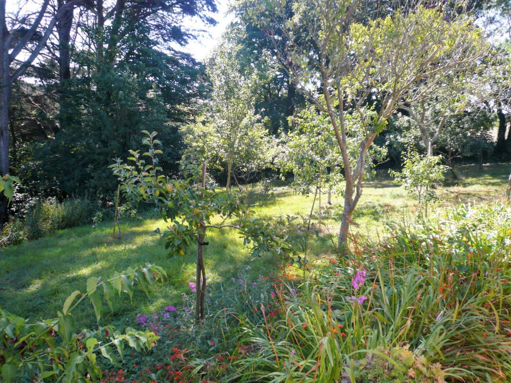Orchard Area