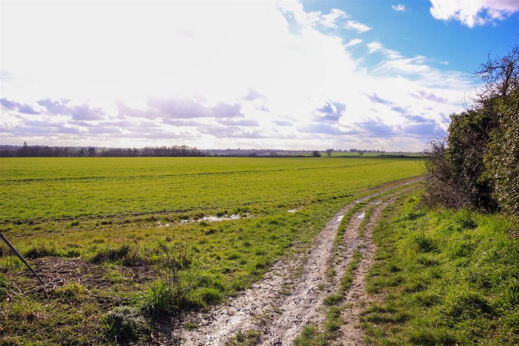 Fields 2.jpg