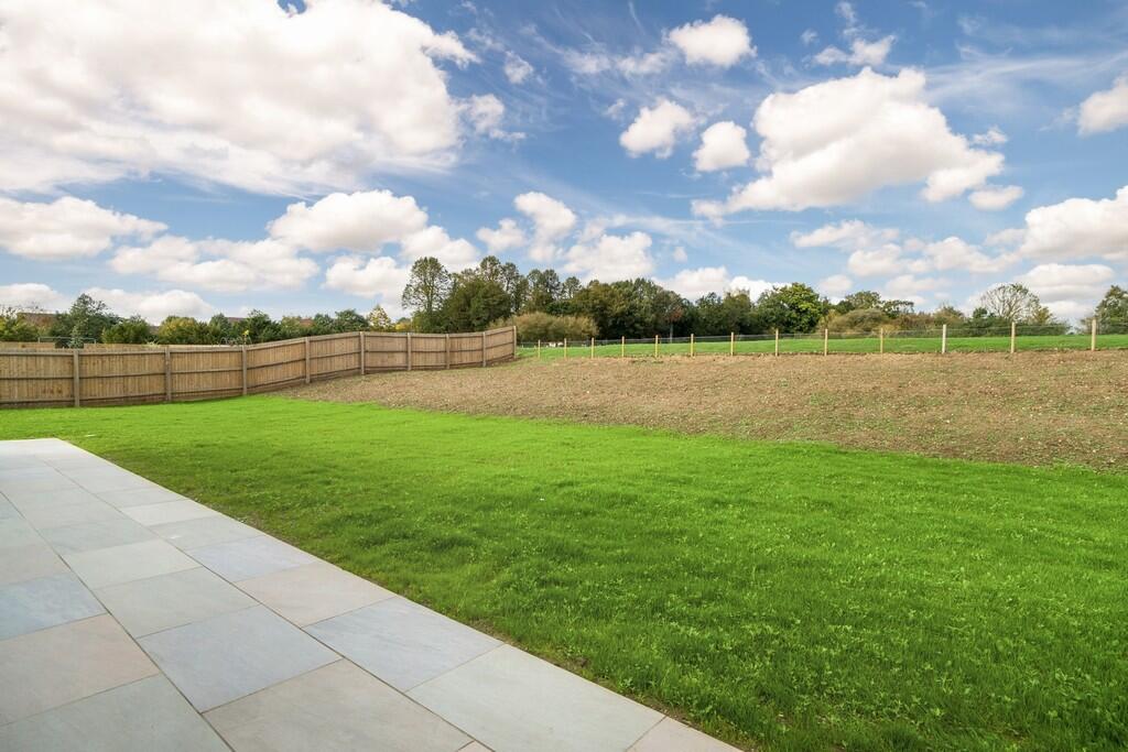 1440px-Elm Tree V...