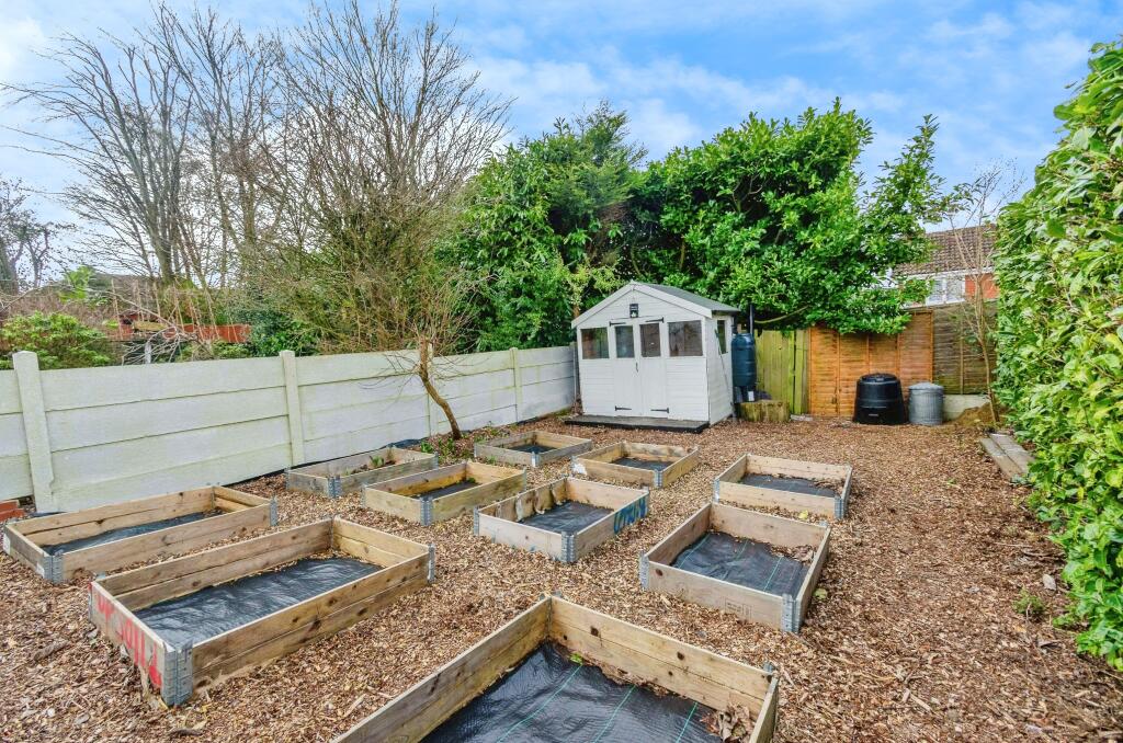 Garden Allotment