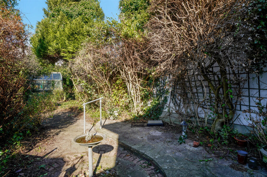 garden 1
