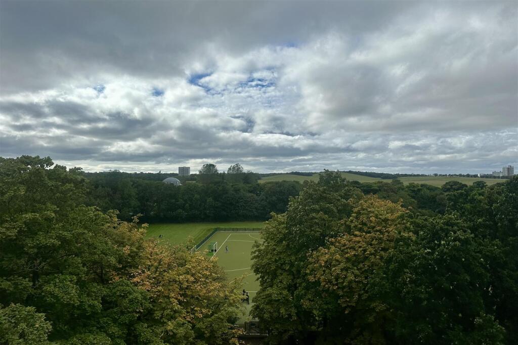 Tower view 1.jpg