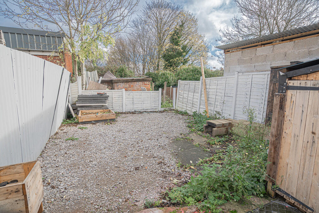 20251113-DSC07151...