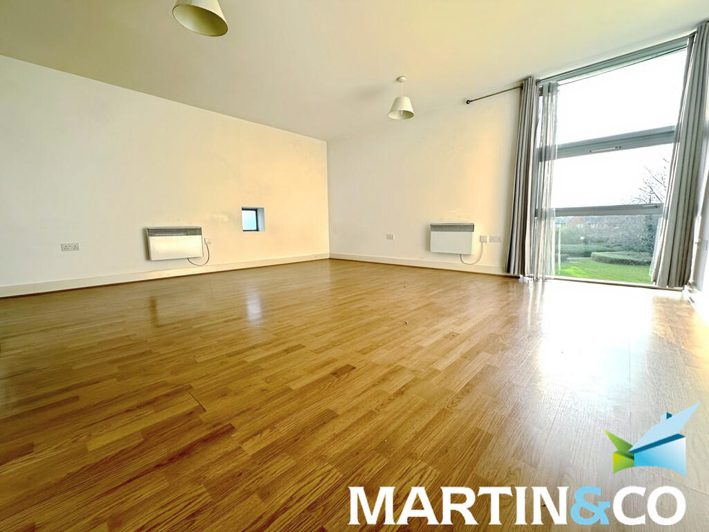 488eec45-IMG-2024...