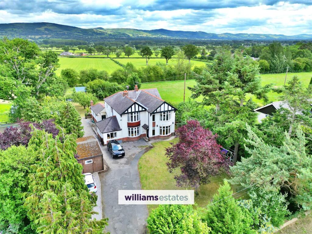 Aerial Shot