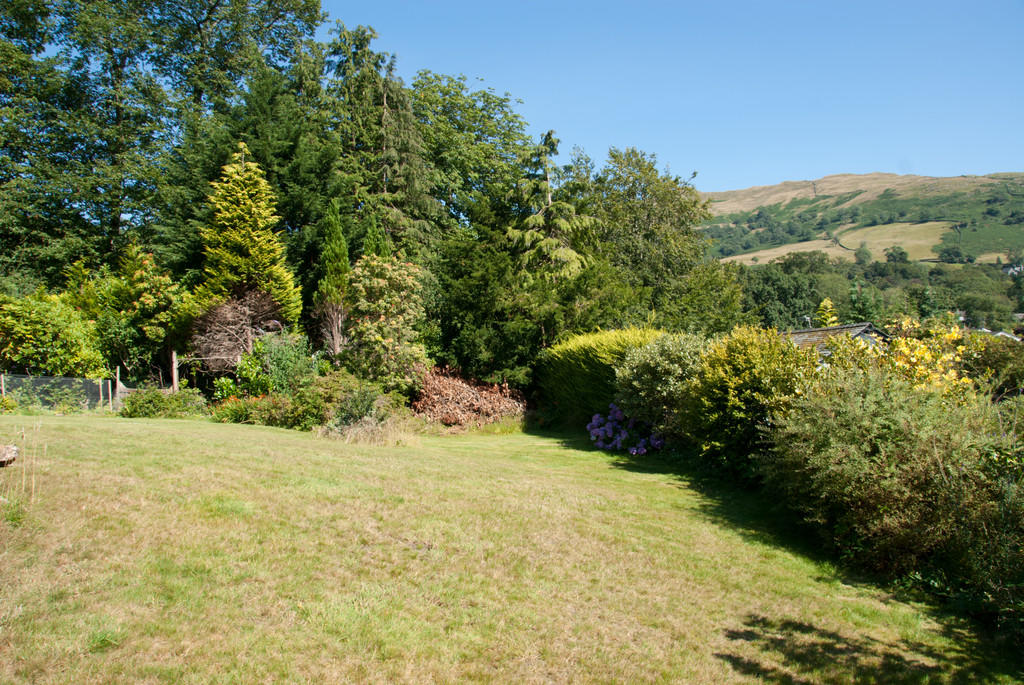 Garden and View