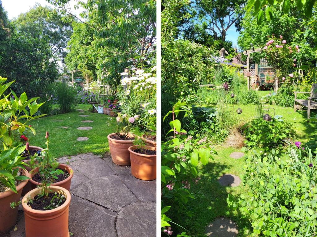 garden comp 1.jpg