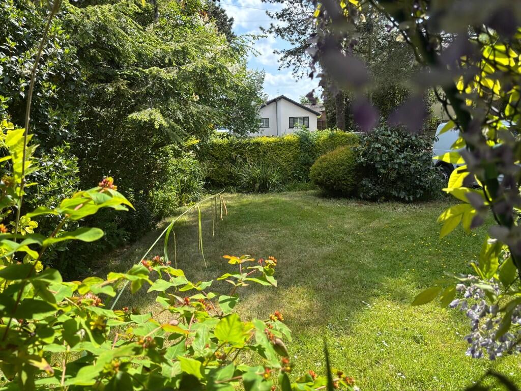 Front Garden