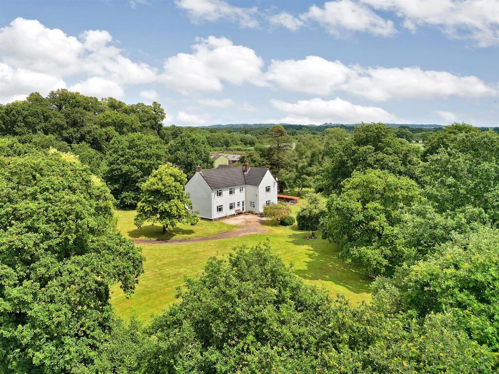 deer copse2025DEER COPSE (3)4.jpg