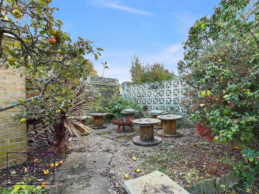 CAM03785G0-PR0156-ST