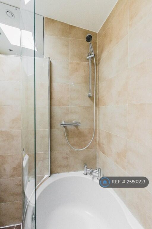 Bathroom (Top Floor)