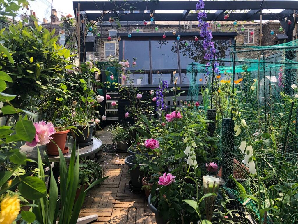 IMG-20250417-WA00...