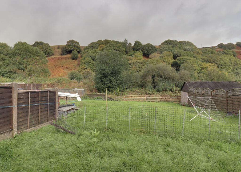 View back garden