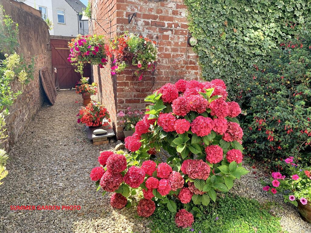 SummerGarden1