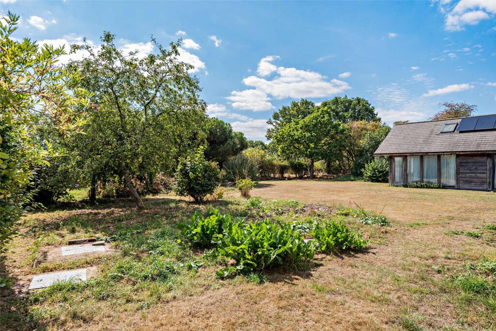 Garden With Scope