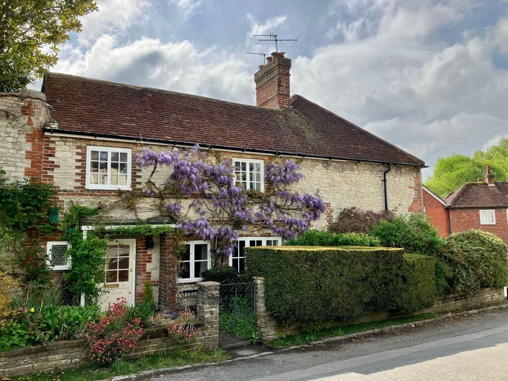Wisteria