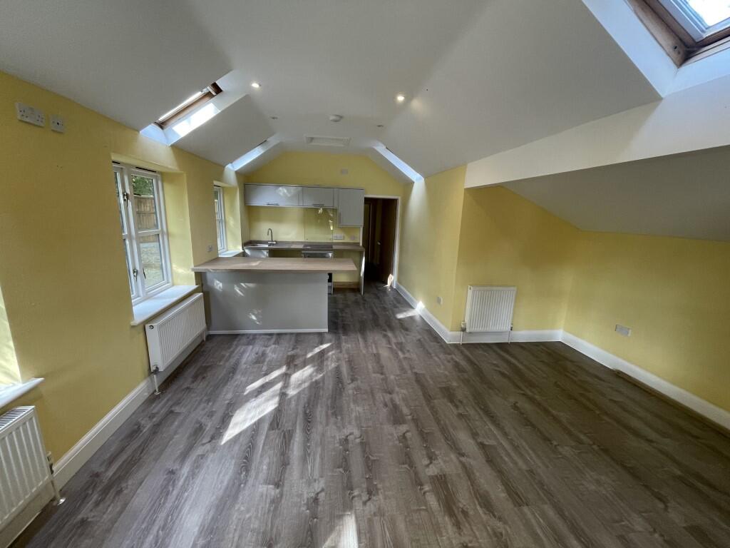 8  Medium  T202510291555.jpg