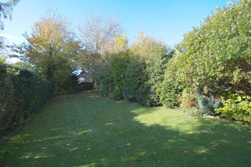 garden3.jpg