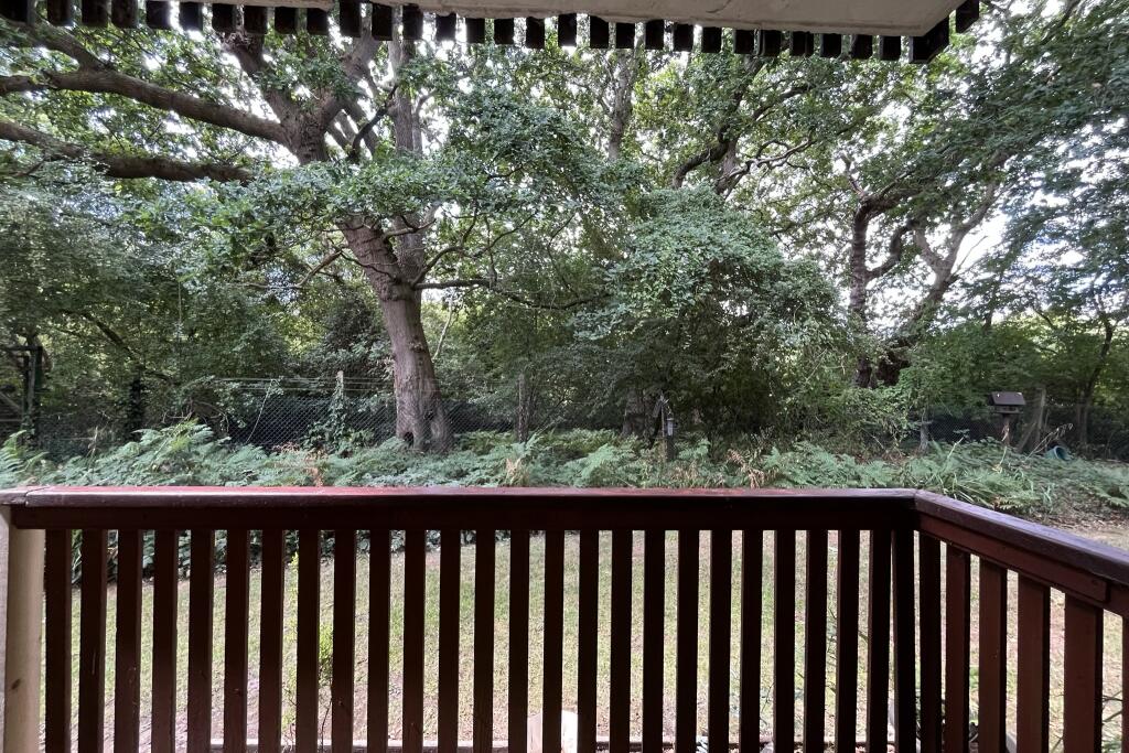 View From Balcony