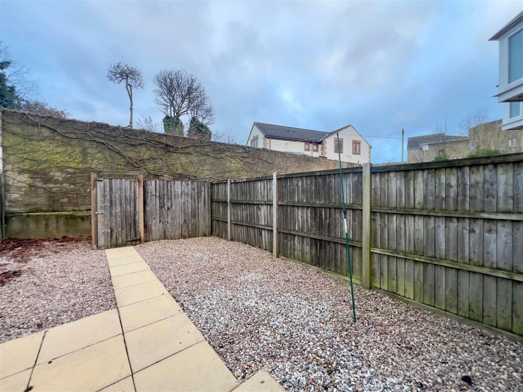 rear yard (2).jpg